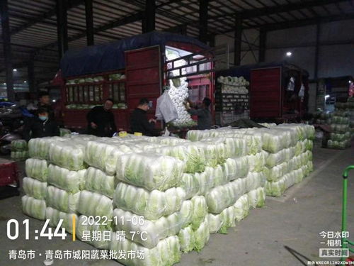 青島五大批發市場保障市民“菜籃子”供應，零售價格持續走低